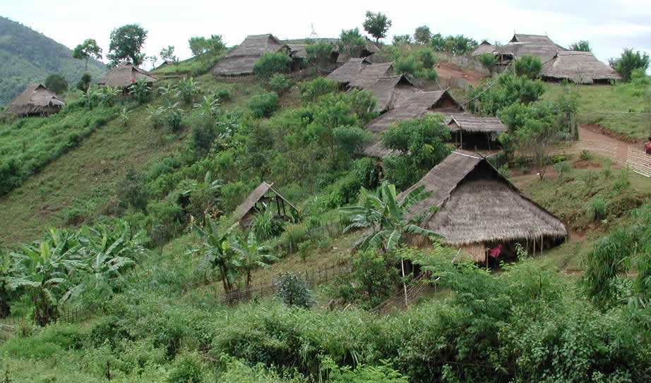 terd thai village